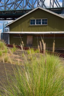 Old Dock Area