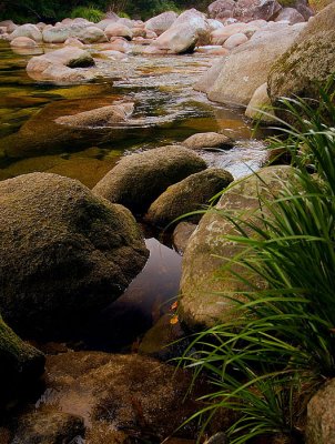 Daintree National Park