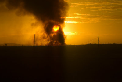 Burning Cane - Far North Queensland