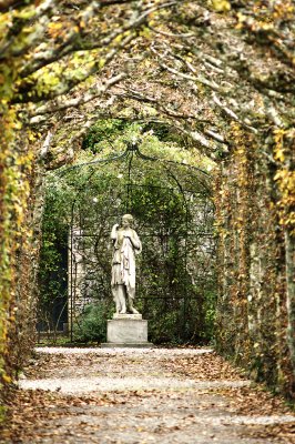 Hornbeam Cloister