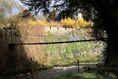 Suspension Bridge