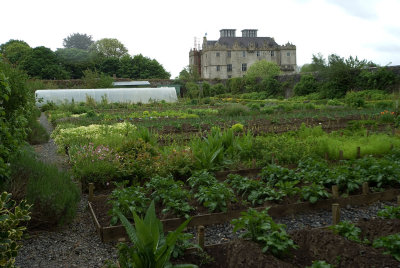 Vegetable Garden at Portumna Castle