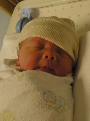 Anders Burke Johnson