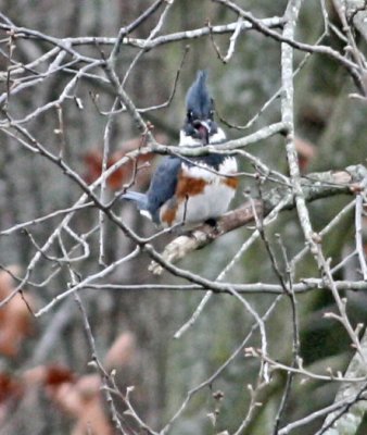 IMG_1663kf.jpg