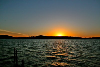 IMG_1145ss.jpg