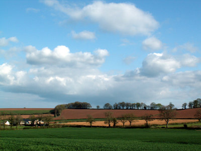 Cully fields