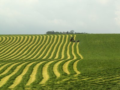 Silage lines