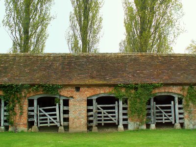 Barrington court midden