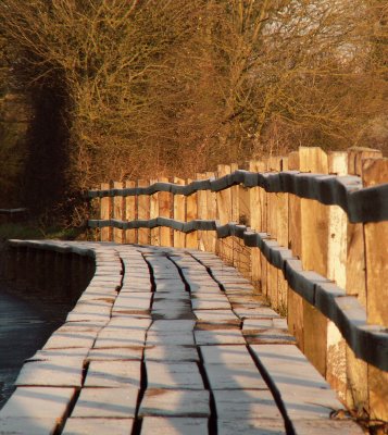 Frosted walkway