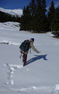 Snow Writing