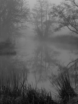 black white river mist