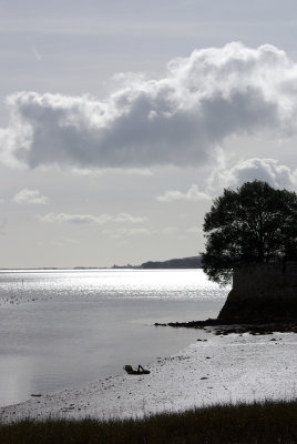 exe estuary