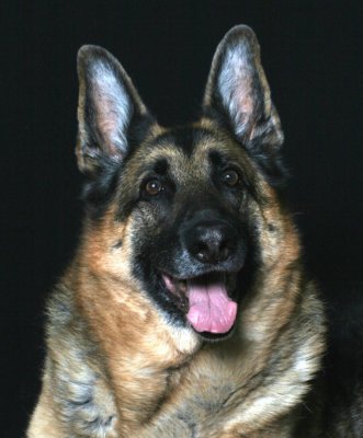 Jake