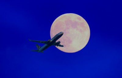 Whatever Airline