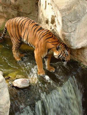 Zoo0834.jpg