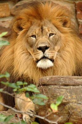 Zoo1007.jpg