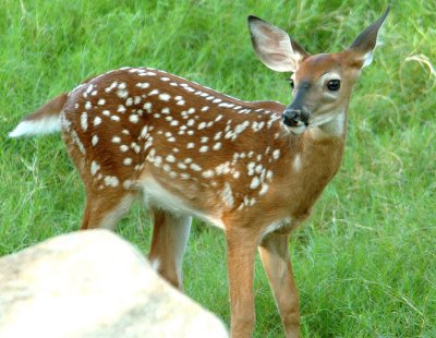 Zoo1214.jpg