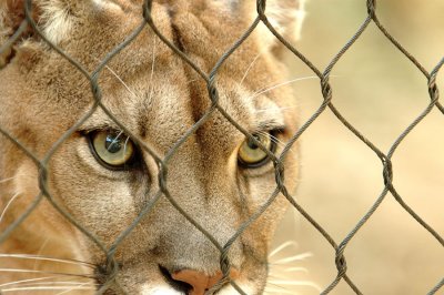 Zoo1229.jpg