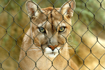 Zoo1235.jpg