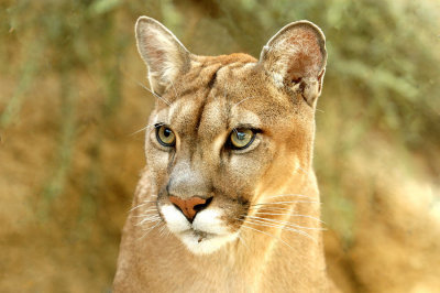 Zoo1236.jpg