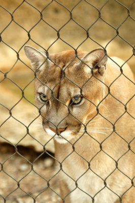 Zoo1238.jpg