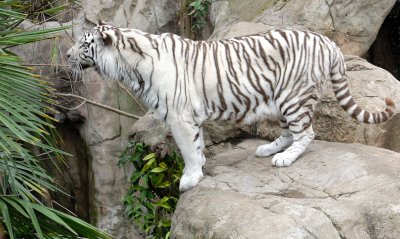 Zoo2211.jpg