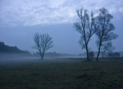 Kampinoski National Park XV