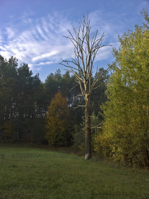 g6/47/679947/3/83172281.PXHELW0s.jpg