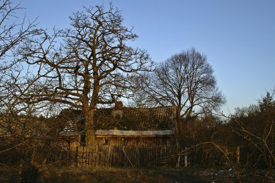 Buda  - Kampinoski National Park