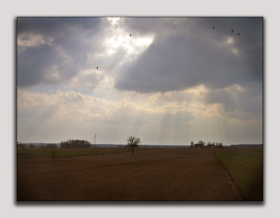 Mietne - spring