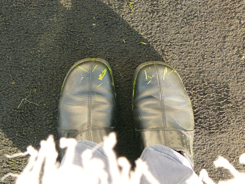 Back from an October walk in the woods