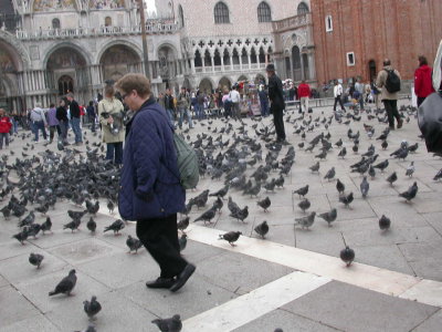Safety in numbers, Venice.JPG