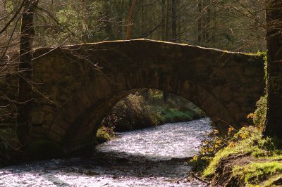 Light on a hump-backed bridge.jpg