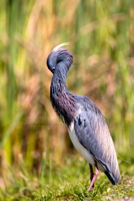 IMG_0452.jpg