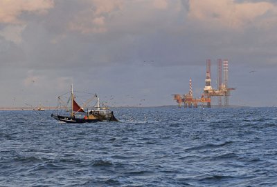 0017M-Garnalenvisser voor het gaswinningsplatform bij de kust van Ameland in de Noordzee.jpg