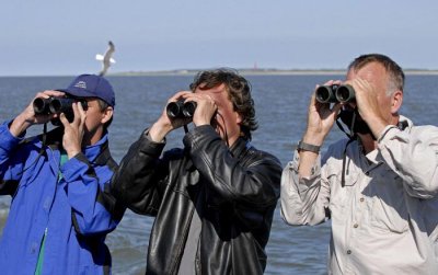 0168M-Vogelaars bekijken sterns ter hoogte van Schiermonnikoog.jpg