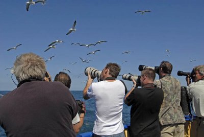 0097M-Vogelfotografen maken foto's vanaf het dek van de Dageraad.jpg