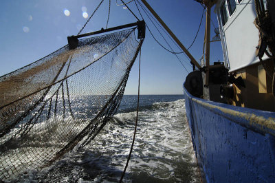 0325B-GO33 met bakboordnet boven.jpg