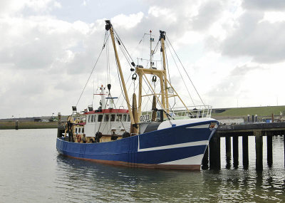 0008E-GO33 in de buitenhaven van Stellendam.jpg