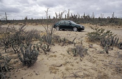 007M-Weg van San Ignacio naar de Laguna.jpg