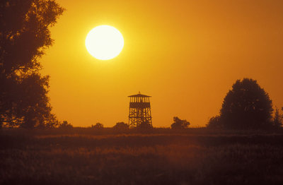 001M-Uitkijktoren op de Oderdijk achter Czarnocin.jpg