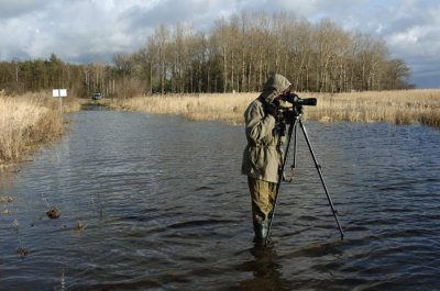 0011M-Vogelstellen vanaf de kust van Wolin aan de noordkant van de Poolse Oderdelta.jpg