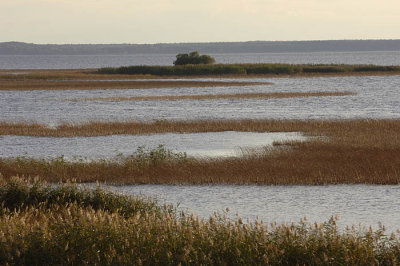 0172M-Oderdelta aan de Poolse zijde boven Stettin .jpg