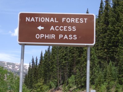 Ophir Pass-26 June Tuesday