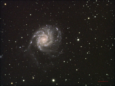 M101