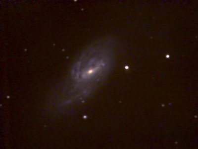 M66