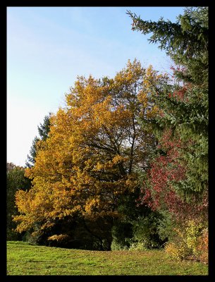 Bannockburn Glen