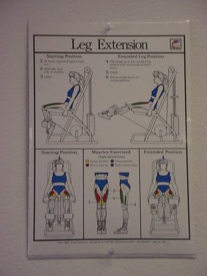 proper leg extension