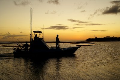 Bringing in the catch of the day