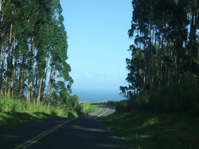 The road to the Vanilla Company